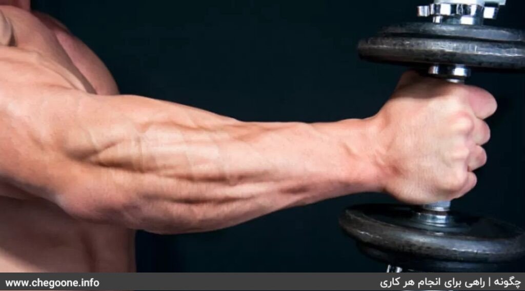 How to have beautiful and voluminous wrist and forearm muscles